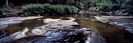 Liffey Stream - TAS (PB00 4415)