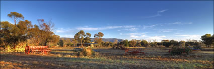 Lions Park - Quorn - SA (PBH3 00 19323)