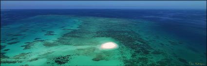 Little Cay - Cairns -  QLD (PBH3 00  13564)