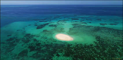 Little Cay - Cairns -  QLD T (PBH3 00 13567)