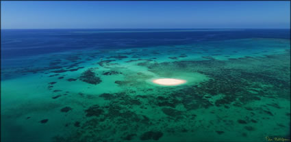 Little Cay - Cairns -  QLD T (PBH3 00 13568)