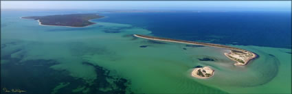 Little Eyre Island - SA (PBH3 00 28751)