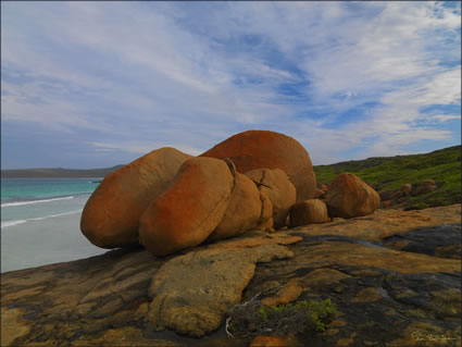 Lucky Bay - Esperance - WA (PBH3 00 0810)