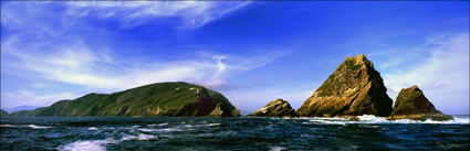 Maatsuyker Island - TAS (PB00 5580)