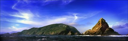 Maatsuyker Island - TAS (PB00 5581)