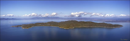 Magnetic Island - QLD (PB00 5925)