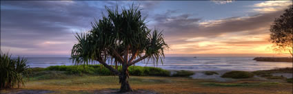 Main Beach - Evans Head - NSW (PBH3 00 15715)