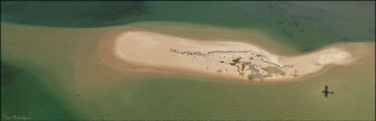 Mangrove Bay - Ningaloo - WA (PBH3 00 8256)