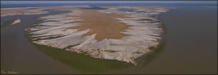 Mangroves - Derby - WA (PBH3 00 10718)