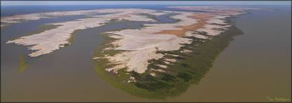 Mangroves - Derby - WA (PBH3 00 10721)