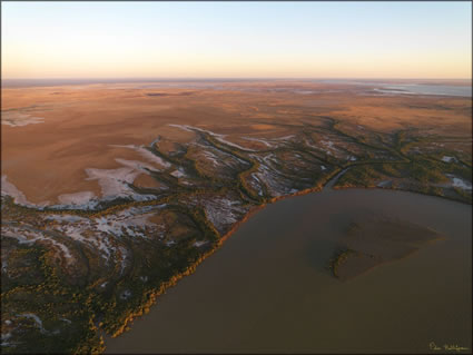 Mangroves - Derby - WA SQ  (PBH3 00 10725)