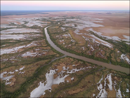 Mangroves - Derby - WA SQ (PBH3 00 10733)