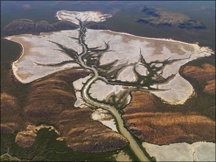 Mangroves - Derby - WA SQ (PBH3 00 10740)