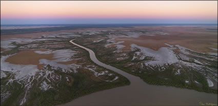 Mangroves - Derby - WA T (PBH3 00 10732)