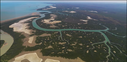 Mangroves - Derby - WA T (PBH3 00 10737)