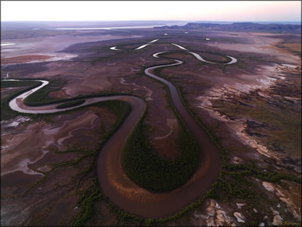 Mangroves - Wyndham - WA SQ (PBH3 00 12102)