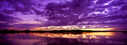 Maroochy River Sunrise - QLD (PB 003138)