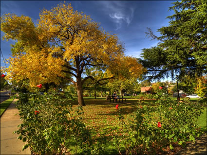 Memorial Park - Junee - NSW SQ (PBH3 00 17081)