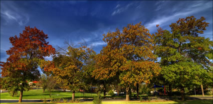 Memorial Park - Junee - NSW T (PBH3 00 17087)