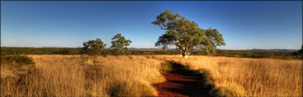 Millstream NP - WA (PBH3 00 9009)