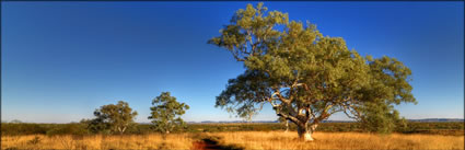 Millstream NP - WA (PBH3 00 9012)