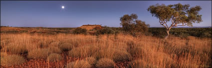 Millstream NP - WA (PBH3 00 9053)