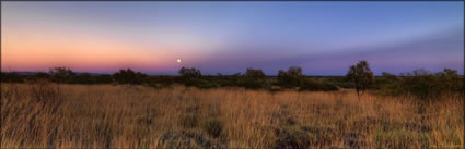 Millstream NP - WA (PBH3 00 9057)