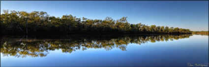 Millstream NP - WA (PBH3 00 9081)