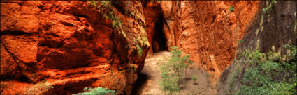 Mini Palms Gorge - WA T (PBH3 00 11868)