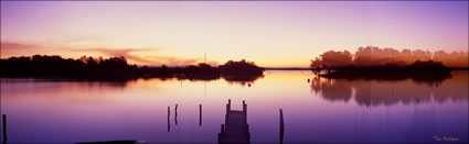 Reflection on Jetty - Forster -NSW (PB00 1869)