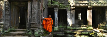 Monk (PBH3 00 13653)