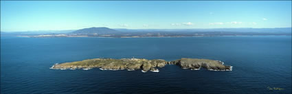 Montague Island - Narooma - NSW (PB 001095)