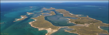 Montebello Islands - WA H (PBH3 00 9560)