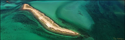 Montebello Islands - WA H (PBH3 00 9570)