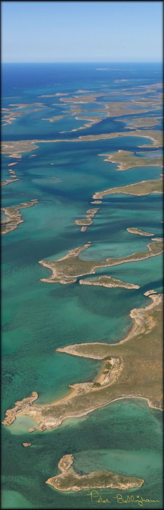 Montebello Islands - WA V (PBH3 00 9539)