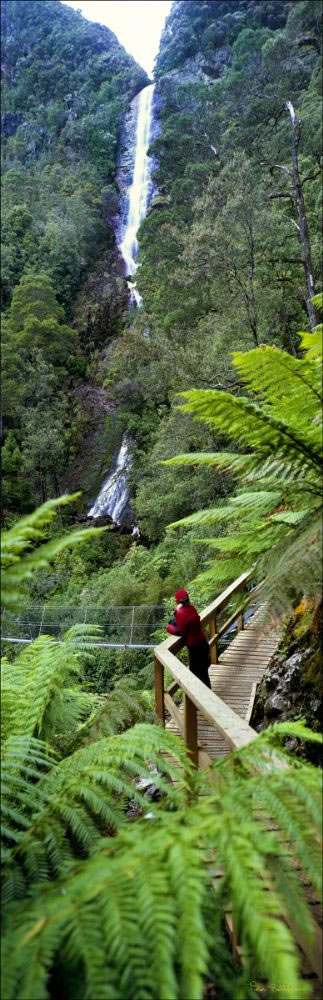 Montezuma Falls - TAS (PB00 1940)