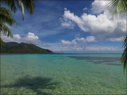 Moorea (PBH3 00 1486)