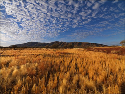 Mt Robinson  - Near Newman - WA (PBH3 00 9793)