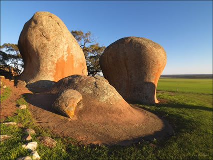 Murphys Haystacks - SA SQ (PBH3 00 3183)