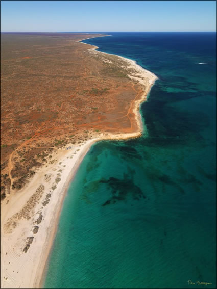 Gnaraloo Coast - Coral Bay - WA SQ (PBH3 00 7728)