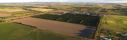 Narromine - NSW (PBH3 00 16128).jpg