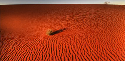 Nilpena Sand Dunes - SA T (PBH3 00 18841)