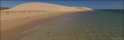 Ningaloo - WA (PBH3 00 8153)