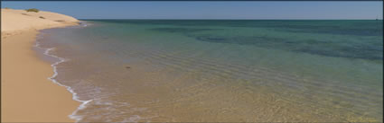 Ningaloo - WA (PBH3 00 8154)