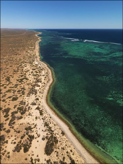 Ningaloo - WA (PBH3 00 8241)