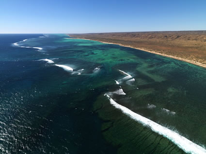 Ningaloo - WA (PBH3 00 8246)