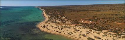 Ningaloo - WA (PBH3 00 8248)