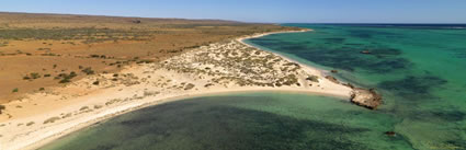 Ningaloo - WA (PBH3 00 8250)