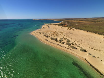 Ningaloo - WA (PBH3 00 8251)