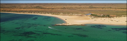 Ningaloo - WA (PBH3 00 8252)